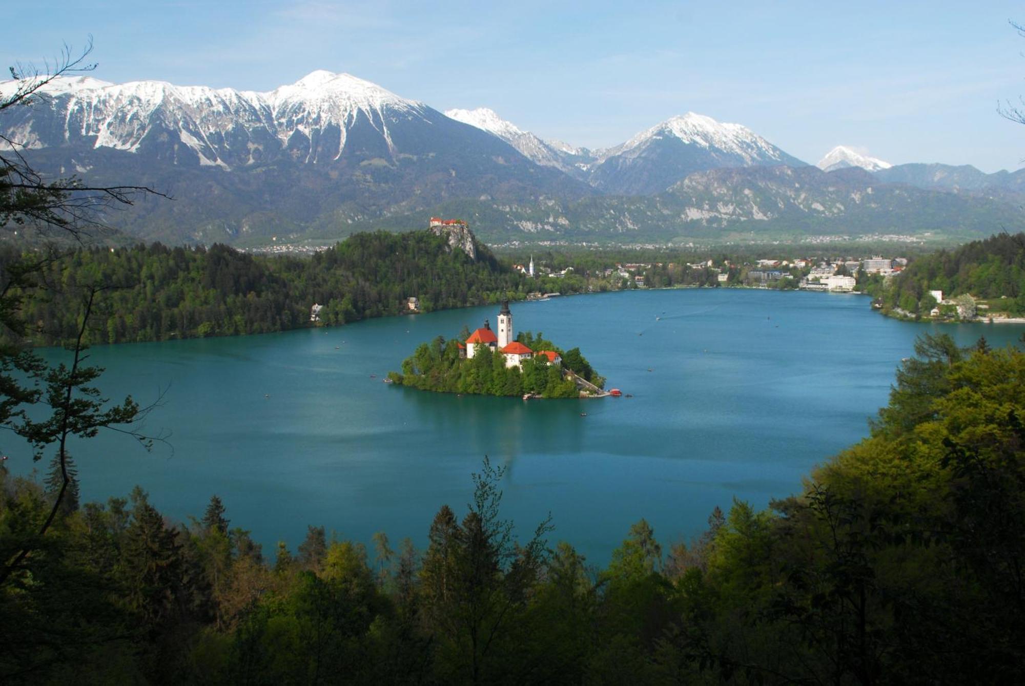 Fantastic Apartment Brglez Bohinjska Bela Zewnętrze zdjęcie