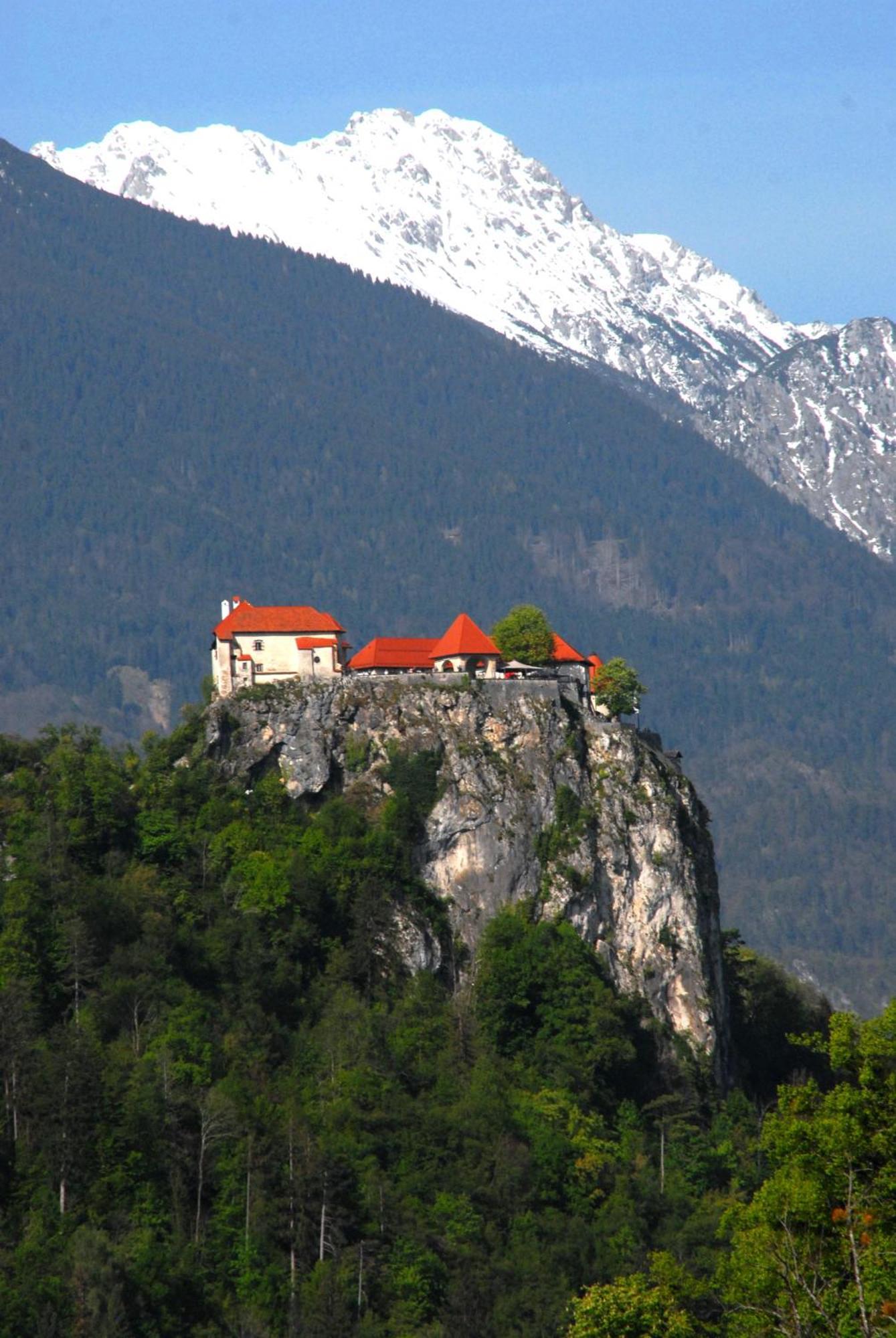 Fantastic Apartment Brglez Bohinjska Bela Zewnętrze zdjęcie